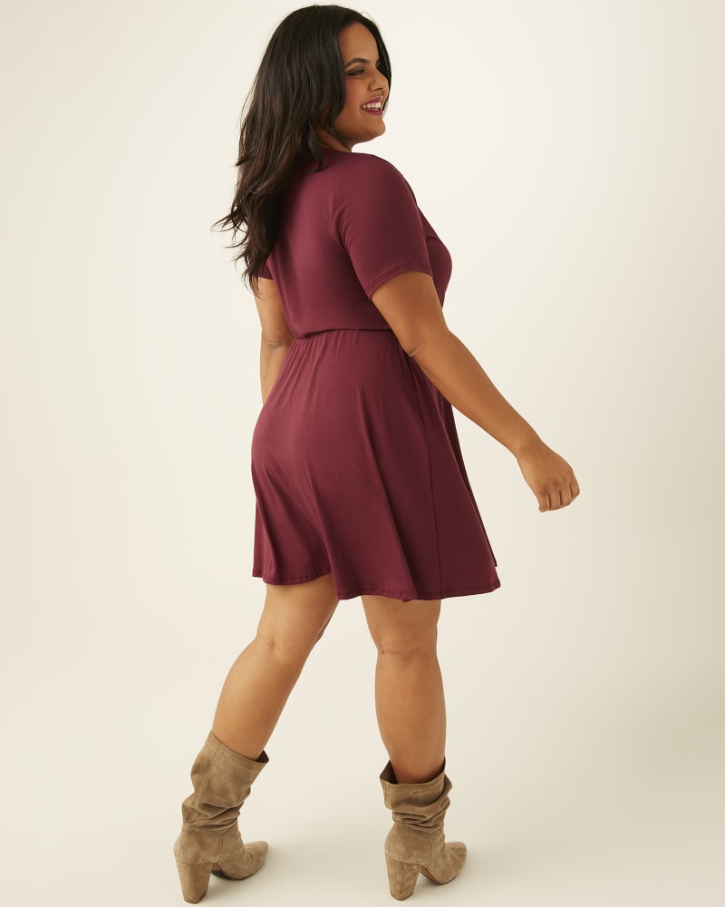 Leann Plus Size Fit And Flare Dress Burgundy